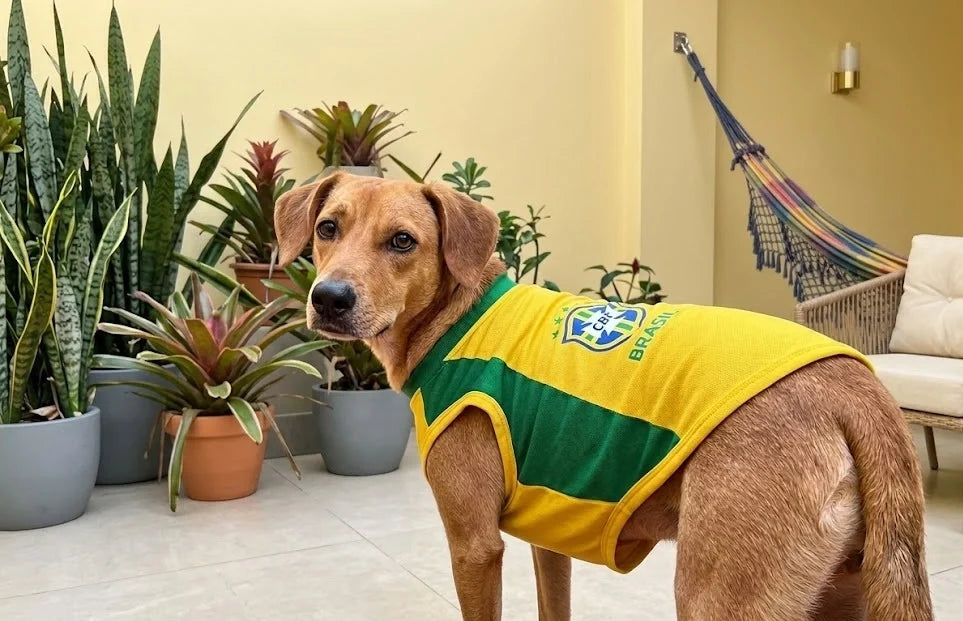 Camisa Pet Torcedor Amarela - imagem 2 - Meu Pet Torcedor